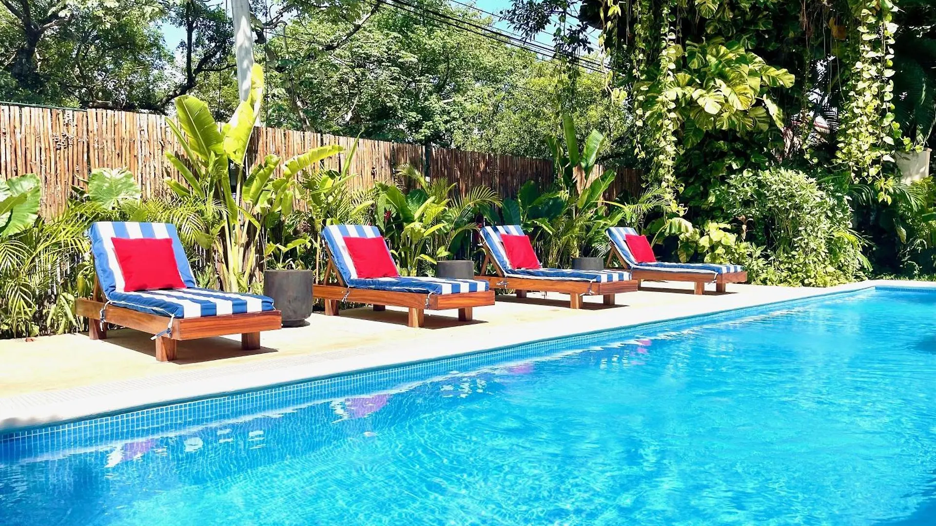 Tenda Comfortable Apartments Playa del Carmen